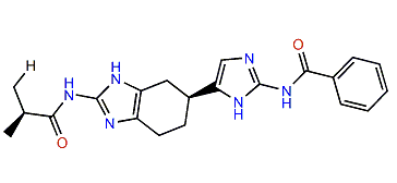 Terrazoanthine B